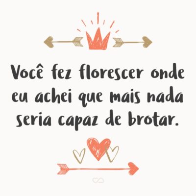 Frase de Amor - Você fez florescer onde eu achei que mais nada seria capaz de brotar.