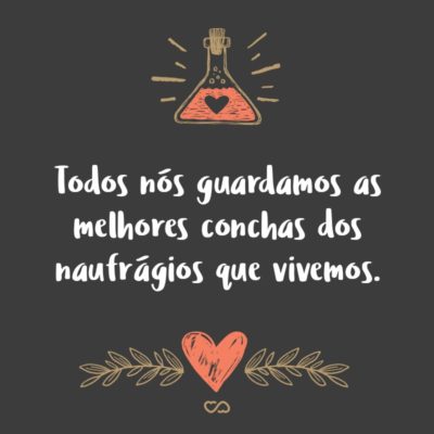 Frase de Amor - Todos nós guardamos as melhores conchas dos naufrágios que vivemos.