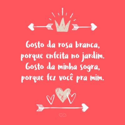 Frase de Amor - Gosto da rosa branca, porque enfeita no jardim. Gosto da minha sogra, porque fez você pra mim.