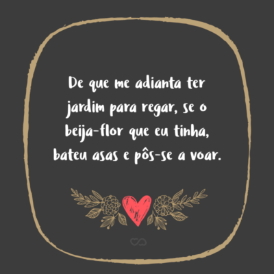 Frase de Amor - De que me adianta ter jardim para regar, se o beija-flor que eu tinha, bateu asas e pôs-se a voar.