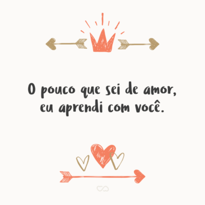 Frase de Amor - O pouco que sei de amor, eu aprendi com você.