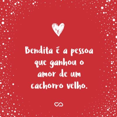 Frase de Amor - Bendita é a pessoa que ganhou o amor de um cachorro velho.