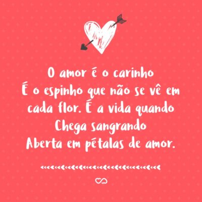 Frase de Amor - O amor é o carinho É o espinho que não se vê em cada flor É a vida quando Chega sangrando Aberta em pétalas de amor.