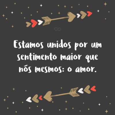 Frase de Amor - Estamos unidos por um sentimento maior que nós mesmos: o amor.