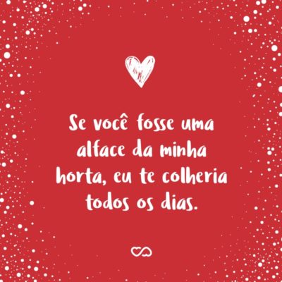Frase de Amor - Se você fosse uma alface da minha horta, eu te colheria todos os dias.