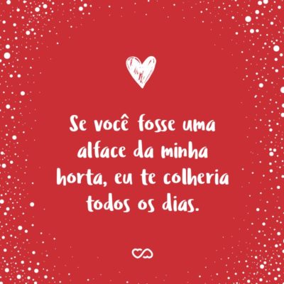 Frase de Amor - Se você fosse uma alface da minha horta, eu te colheria todos os dias.