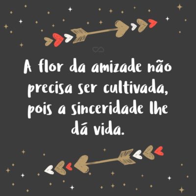 Frase de Amor - A flor da amizade não precisa ser cultivada, pois a sinceridade lhe dá vida.