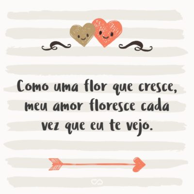 Frase de Amor - Como uma flor que cresce, meu amor floresce cada vez que eu te vejo.