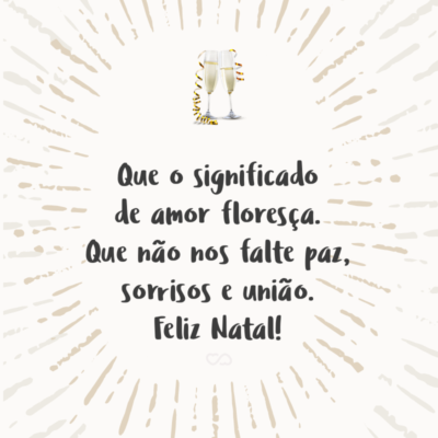 Frase de Amor - Que o significado de amor floresça. Que não nos falte paz, sorrisos e união. Feliz Natal!