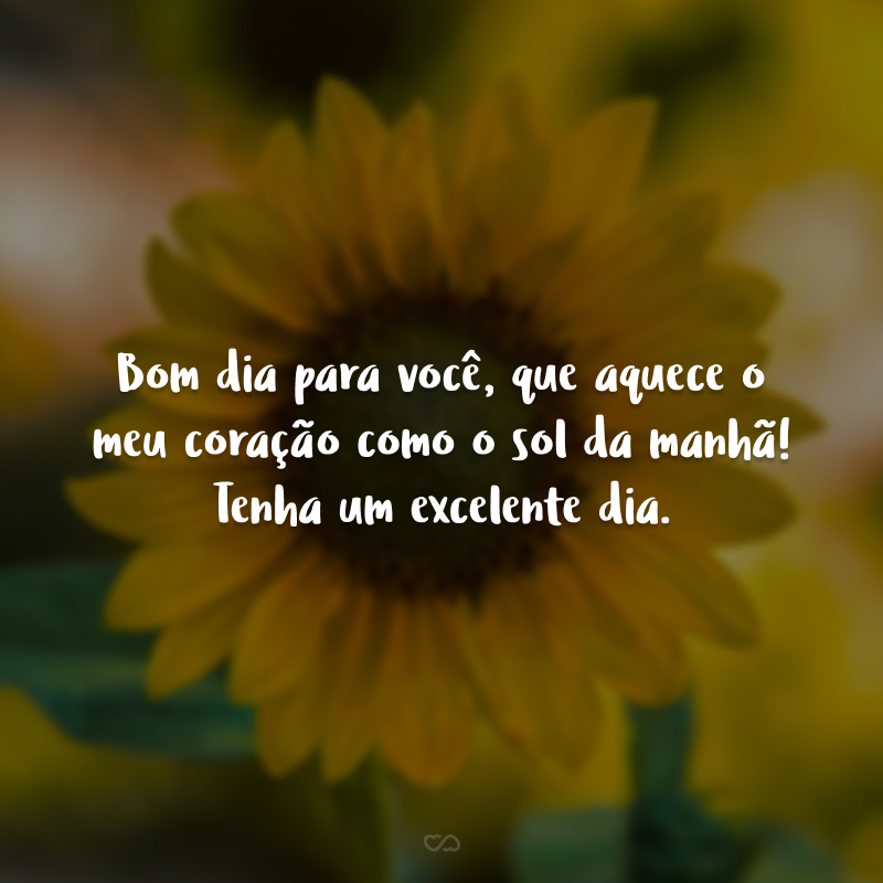 50 frases românticas de bom dia para já acordar apaixonado 50 frases românticas de bom dia para já acordar apaixonado