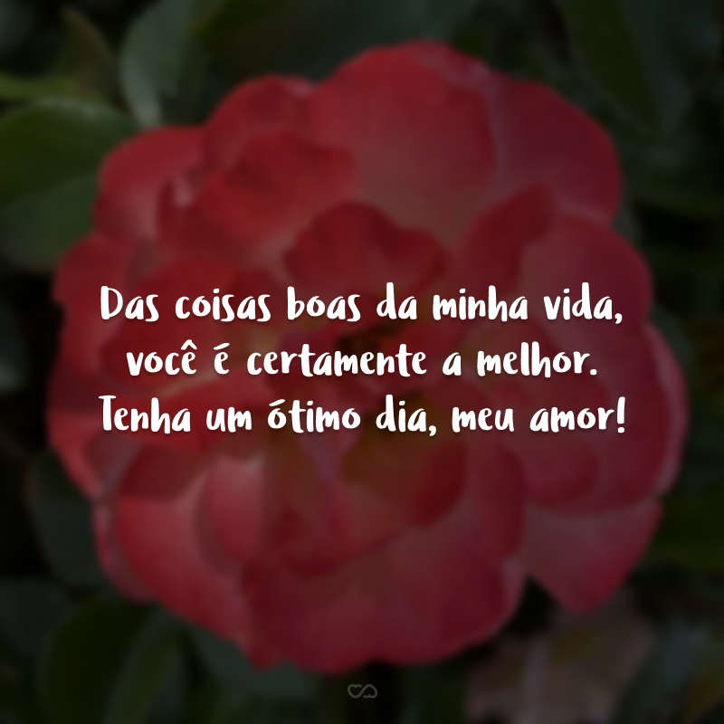 50 frases românticas de bom dia para já acordar apaixonado 50 frases românticas de bom dia para já acordar apaixonado