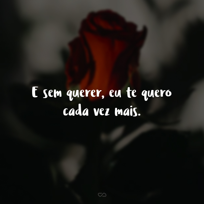 E sem querer, eu te quero cada vez mais.