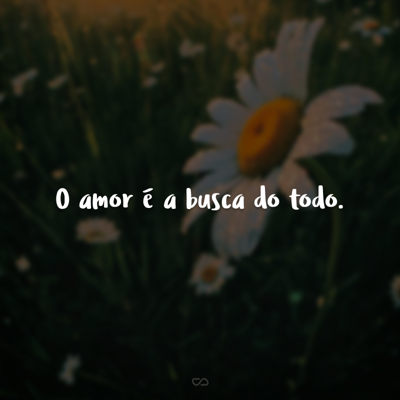 O amor é a busca do todo.