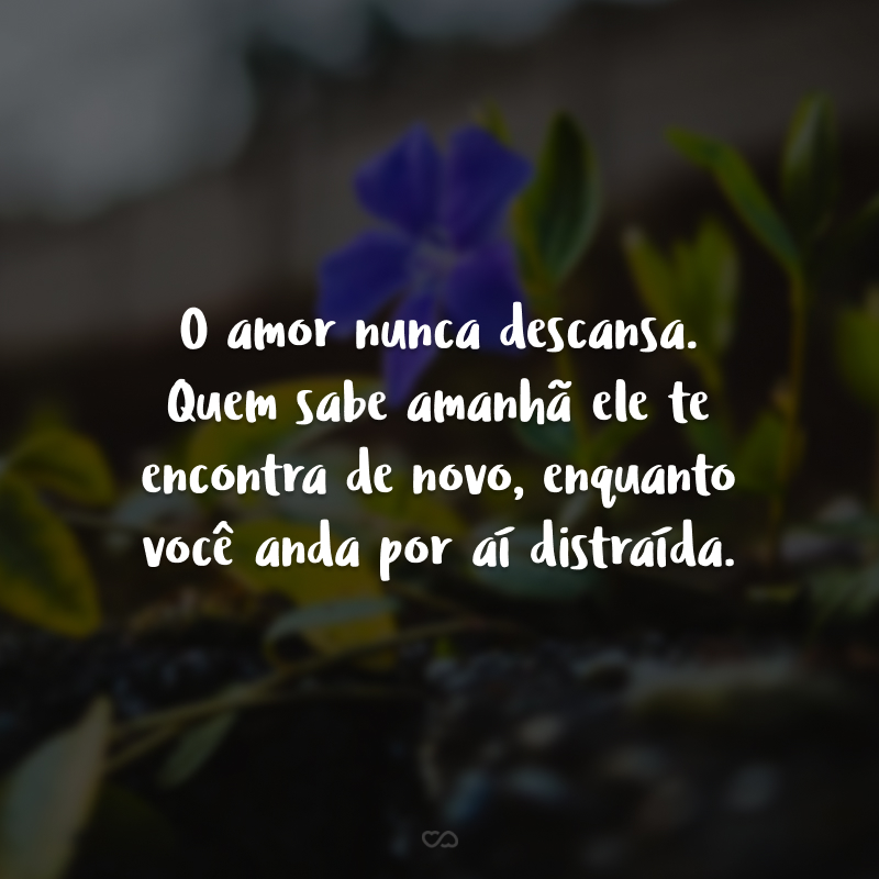 O amor nunca descansa. Quem sabe amanhã ele te encontra de novo, enquanto você anda por aí distraída.