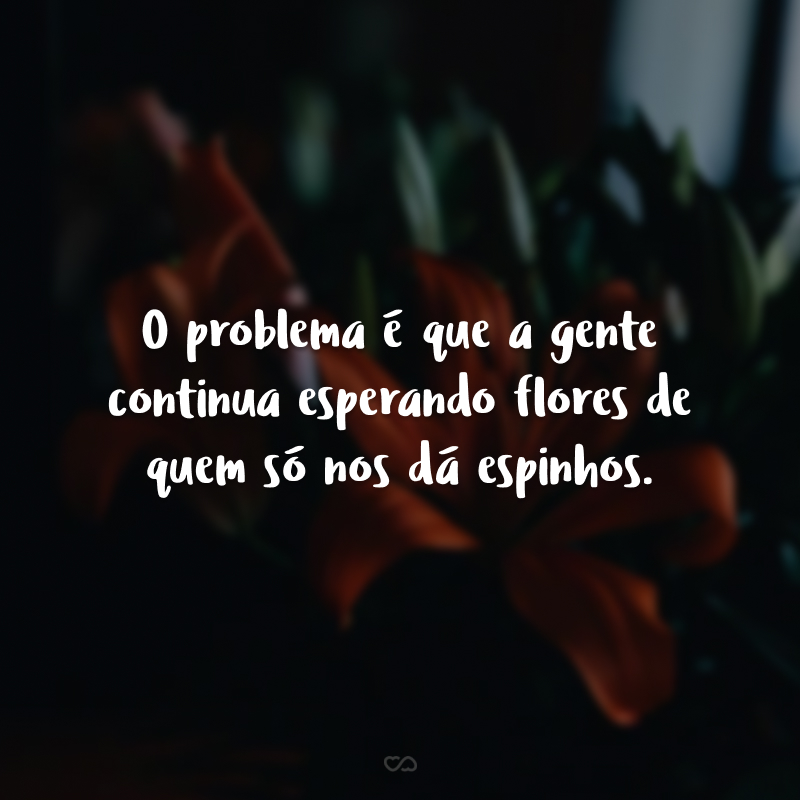 O problema é que a gente continua esperando flores de quem só nos dá espinhos. 