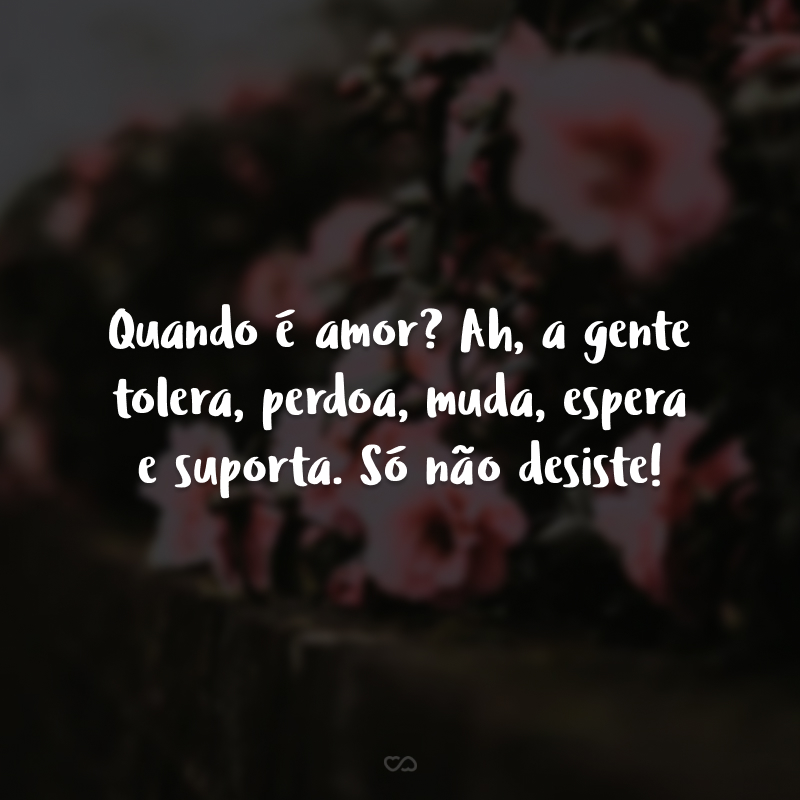 Quando é amor? Ah, a gente tolera, perdoa, muda, espera e suporta. Só não desiste!