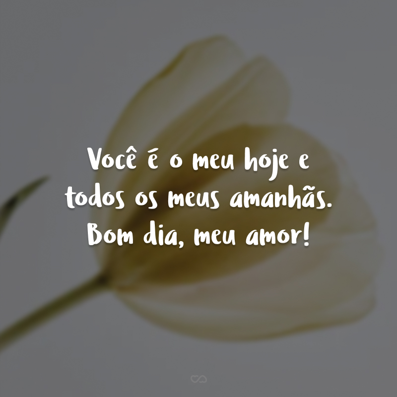 Você é o meu hoje e todos os meus amanhãs. Bom dia, meu amor!