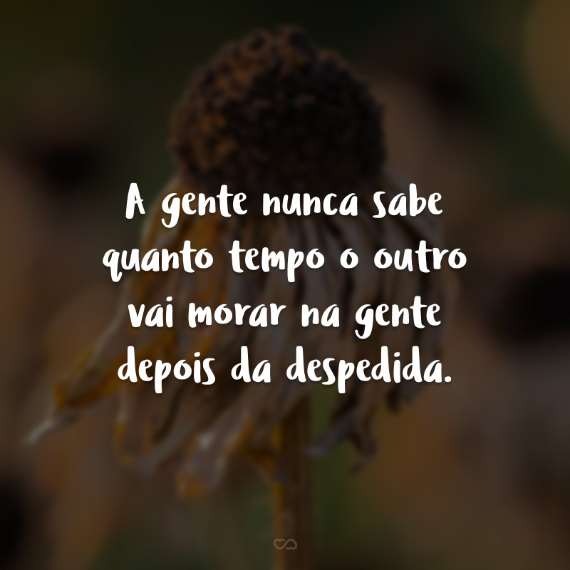 A gente nunca sabe quanto tempo o outro vai morar na gente depois da despedida.