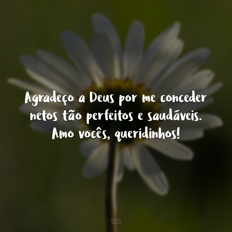 Agradeço a Deus por me conceder netos tão perfeitos e saudáveis. Amo vocês, queridinhos!