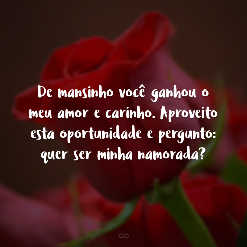 De mansinho você ganhou o meu amor e carinho. Aproveito esta oportunidade e pergunto: quer ser minha namorada?