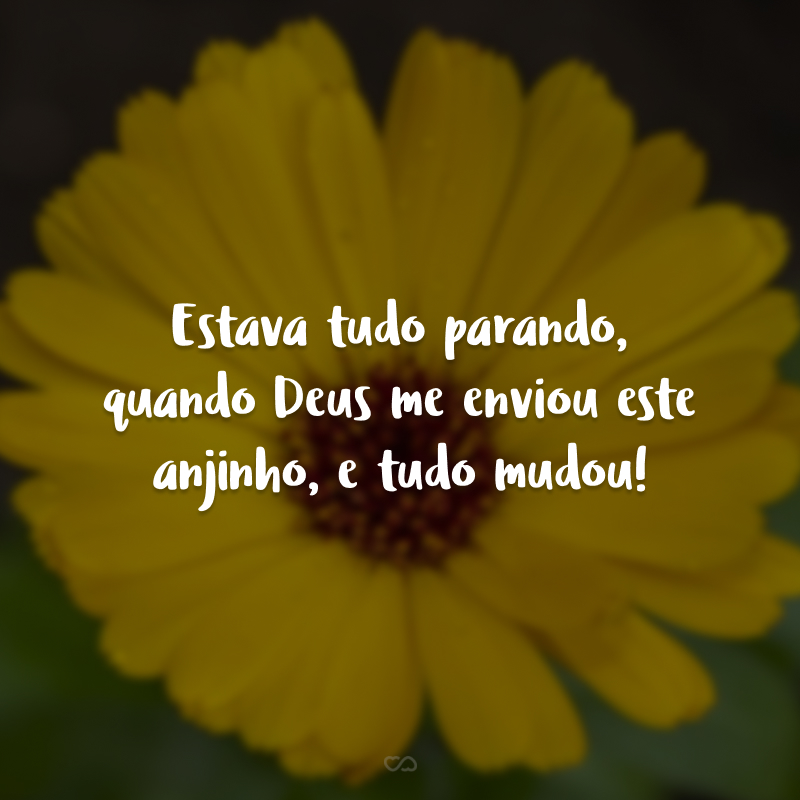 Estava tudo parando, quando Deus me enviou este anjinho, e tudo mudou!