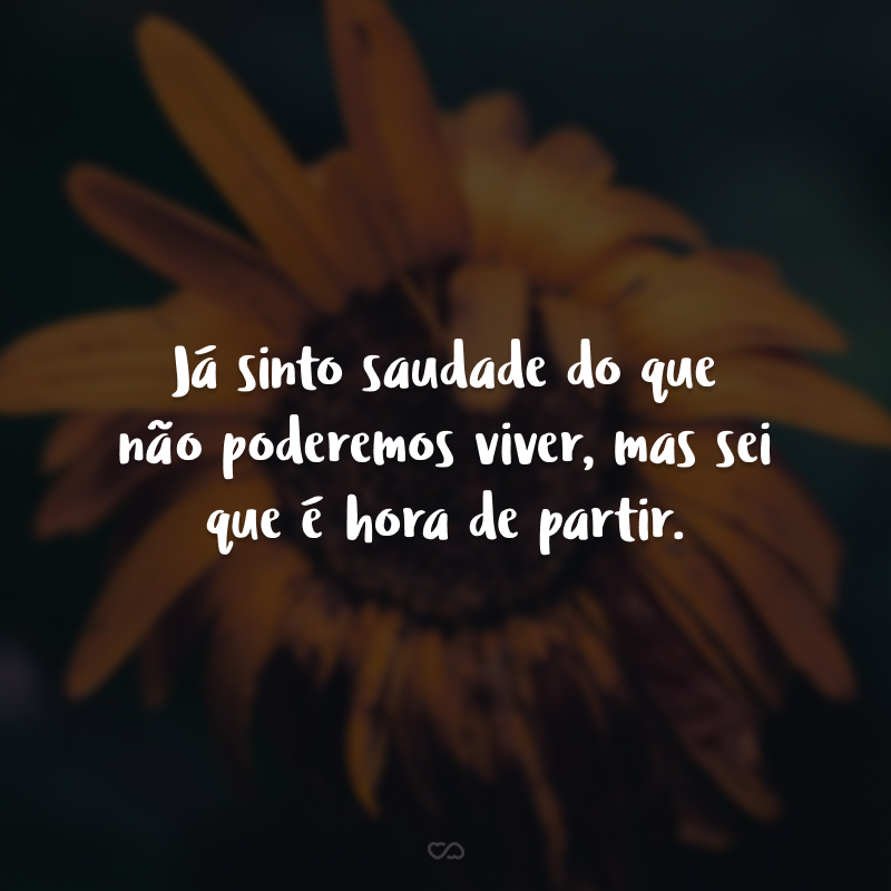 Já sinto saudade do que não poderemos viver, mas sei que é hora de partir.