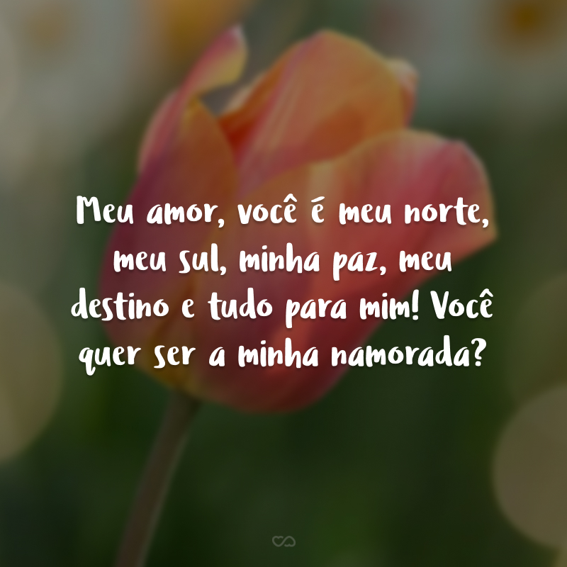 Meu amor, você é meu norte, meu sul, minha paz, meu destino e tudo para mim! Você quer ser a minha namorada?