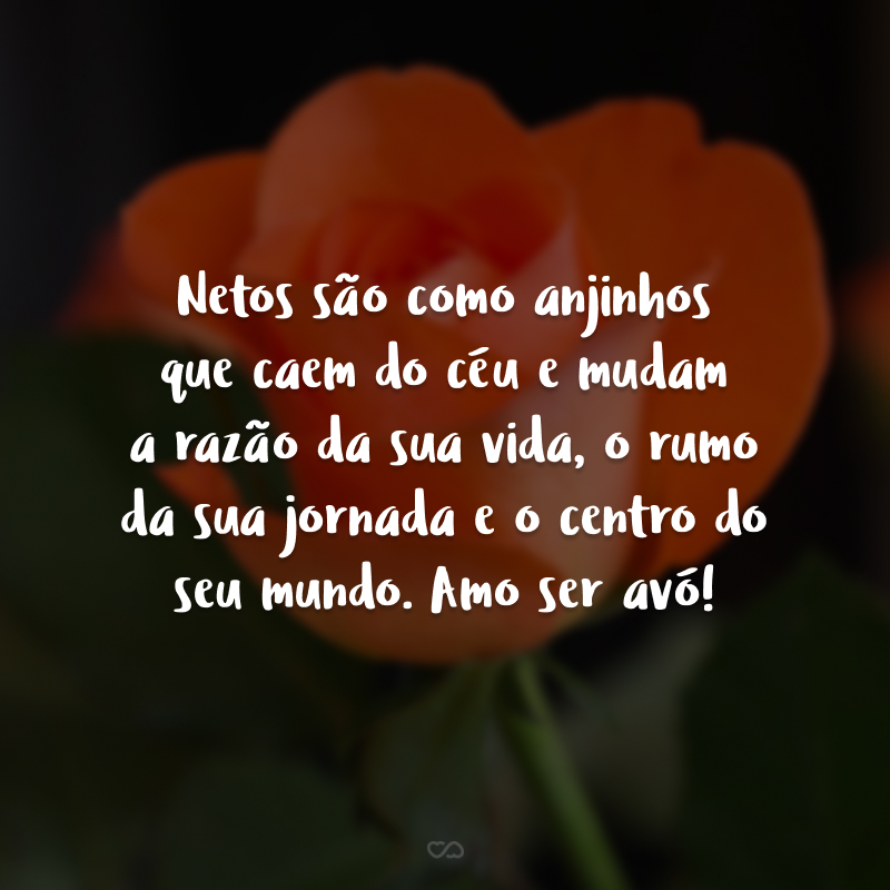 Netos são como anjinhos que caem do céu e mudam a razão da sua vida, o rumo da sua jornada e o centro do seu mundo. Amo ser avó!