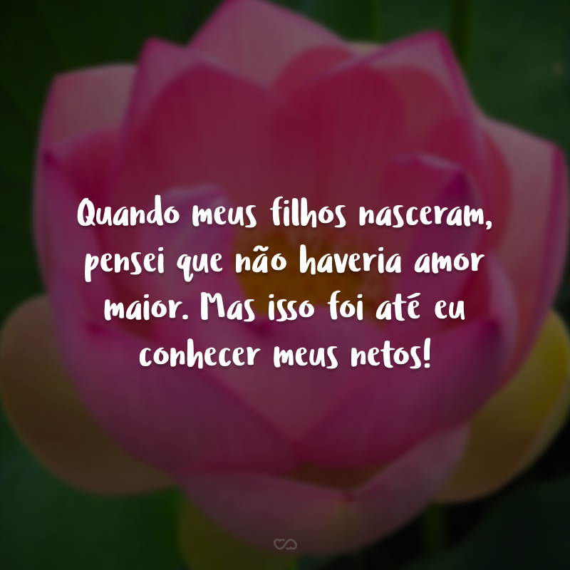 Quando meus filhos nasceram, pensei que não haveria amor maior. Mas isso foi até eu conhecer meus netos!