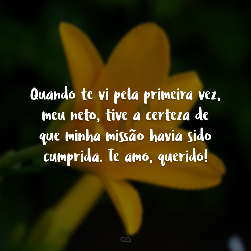 Quando te vi pela primeira vez, meu neto, tive a certeza de que minha missão havia sido cumprida. Te amo, querido!