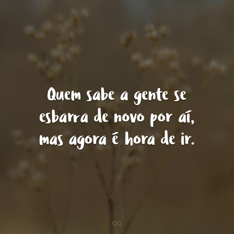 Quem sabe a gente se esbarra de novo por aí, mas agora é hora de ir.