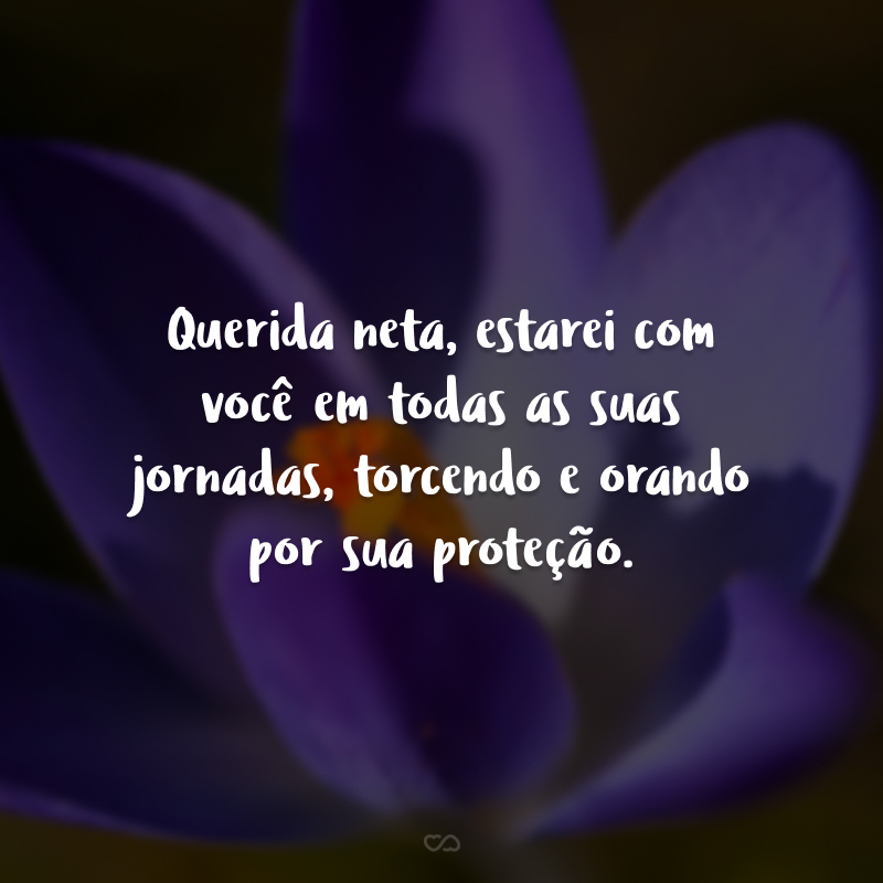Querida neta, estarei com você em todas as suas jornadas, torcendo e orando por sua proteção.