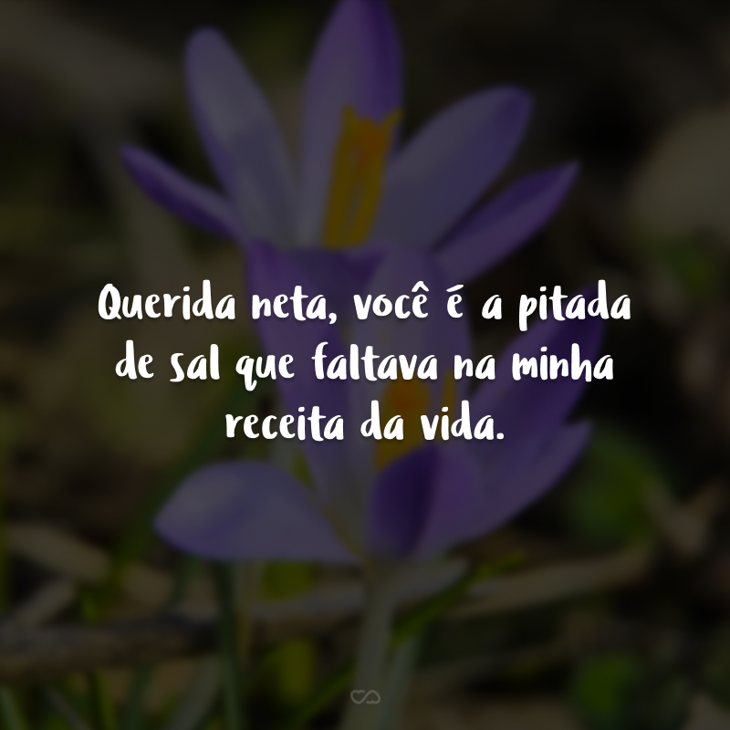 Querida neta, você é a pitada de sal que faltava na minha receita da vida.