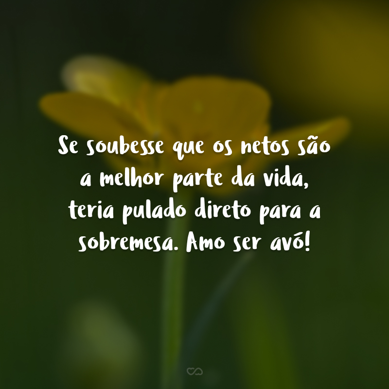 Se soubesse que os netos são a melhor parte da vida, teria pulado direto para a sobremesa. Amo ser avó!