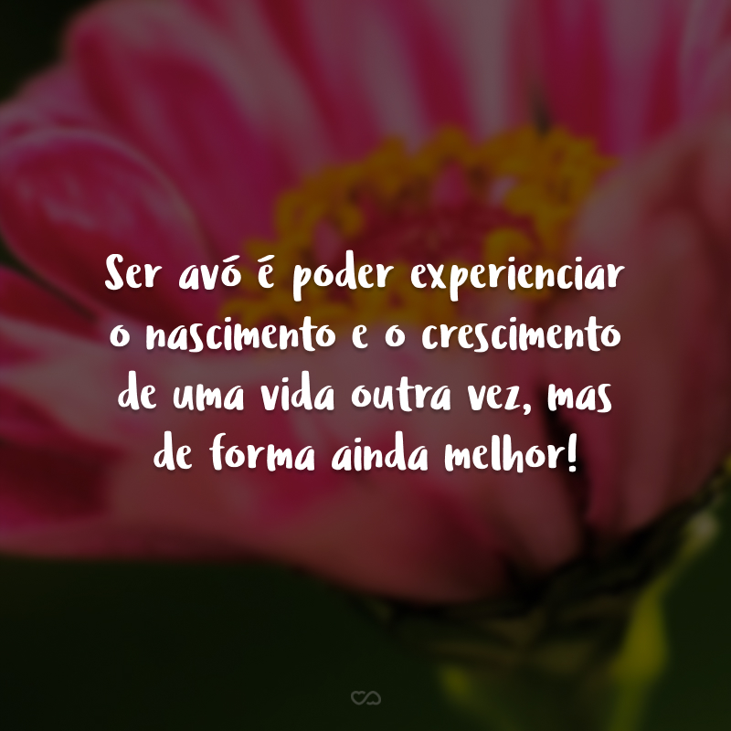 Ser avó é poder experienciar o nascimento e o crescimento de uma vida outra vez, mas de forma ainda melhor!