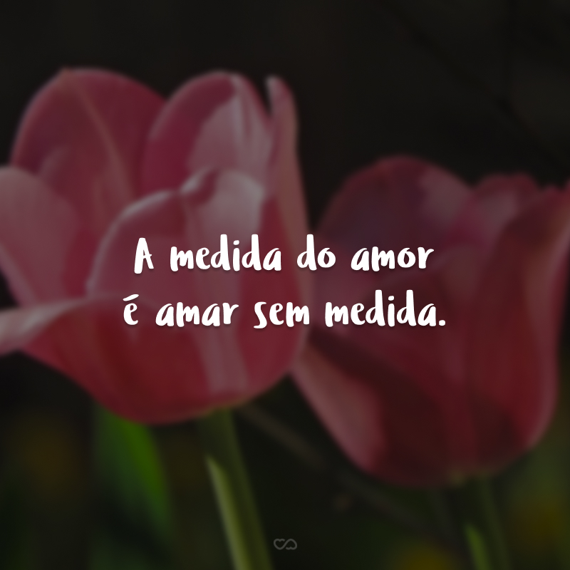 A medida do amor é amar sem medida.