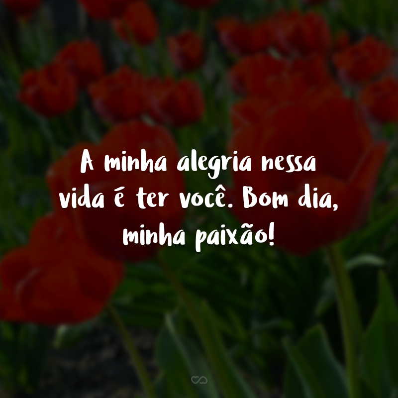 A minha alegria nessa vida é ter você. Bom dia, minha paixão!