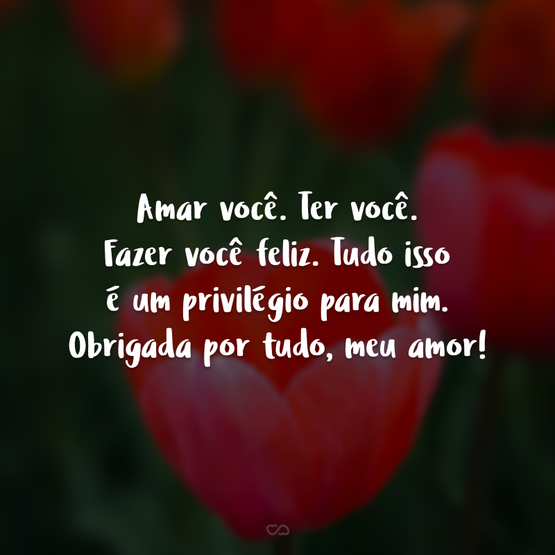 Amar você. Ter você. Fazer você feliz. Tudo isso é um privilégio para mim. Obrigada por tudo, meu amor!