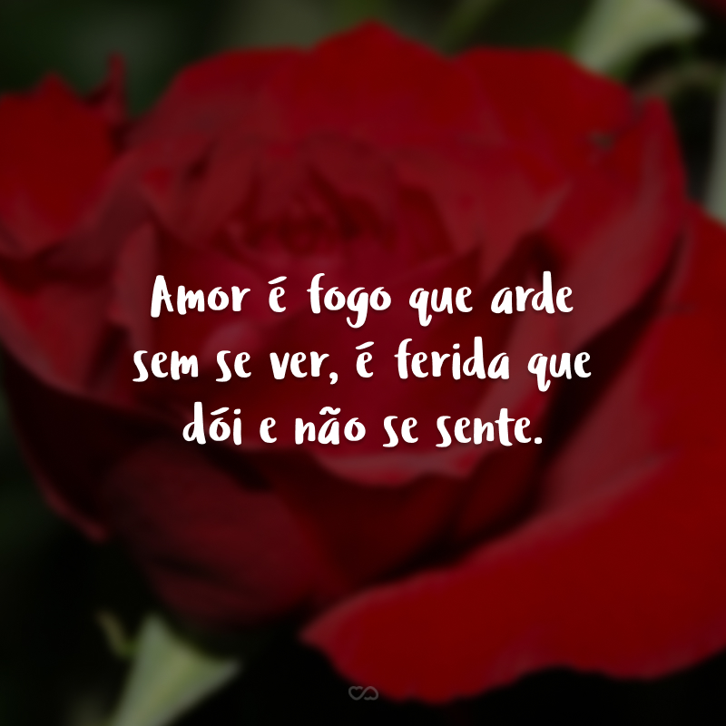 Amor é fogo que arde sem se ver, é ferida que dói e não se sente.