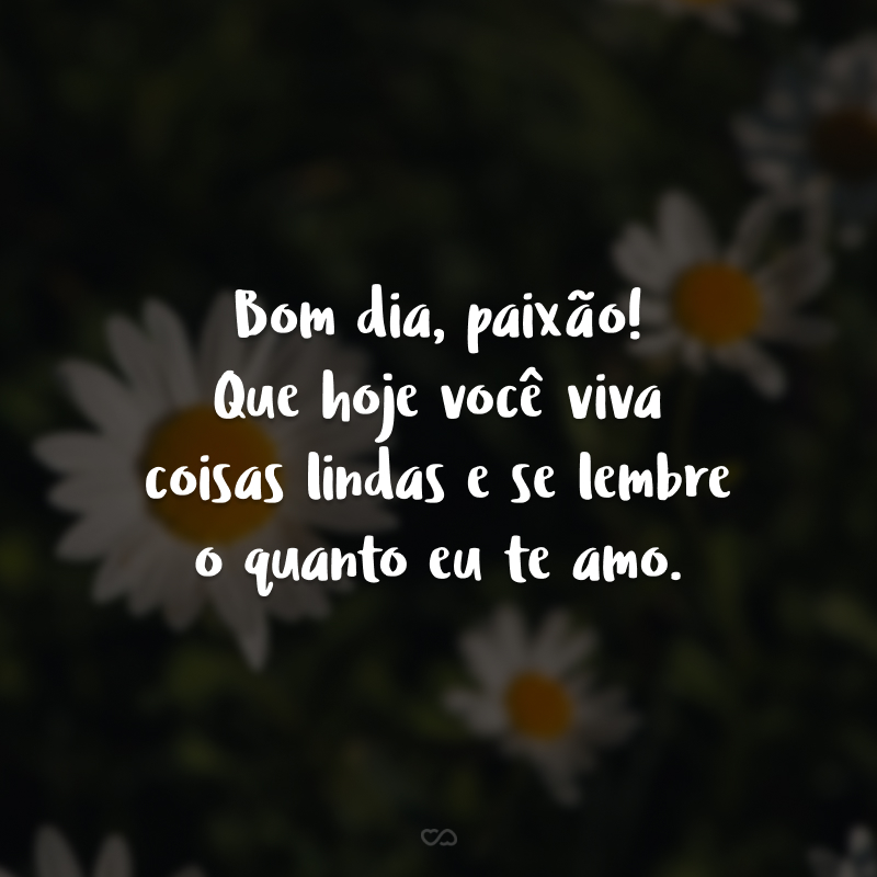 Bom dia, paixão! Que hoje você viva coisas lindas e se lembre o quanto eu te amo. 