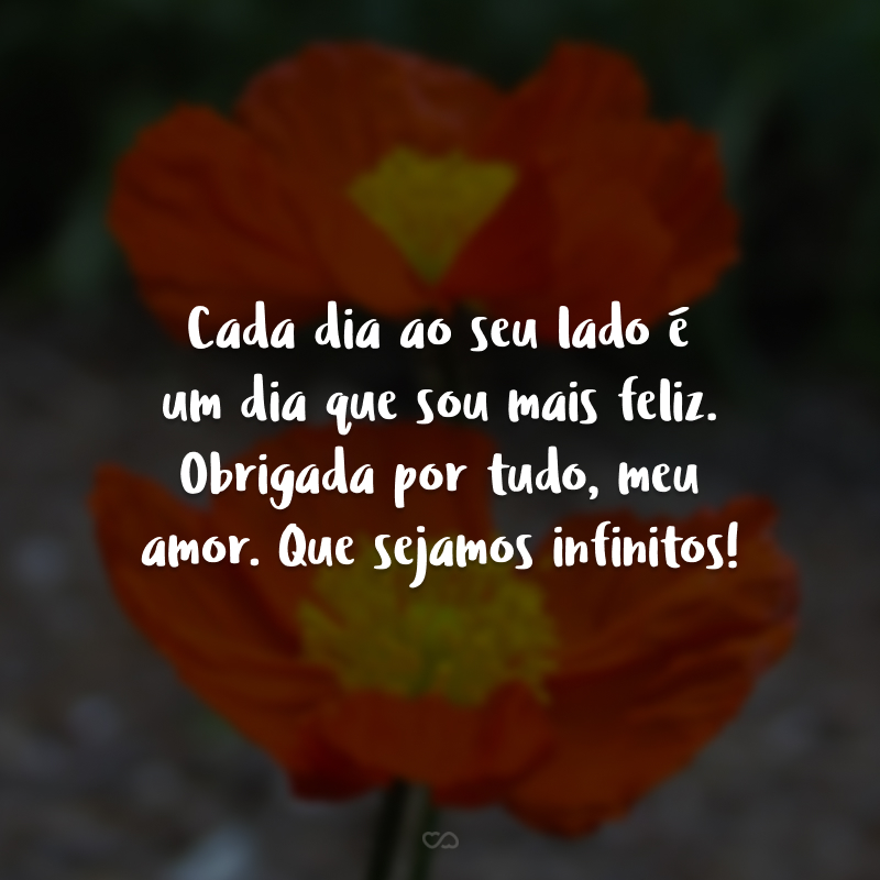 Cada dia ao seu lado é um dia que sou mais feliz. Obrigada por tudo, meu amor. Que sejamos infinitos!