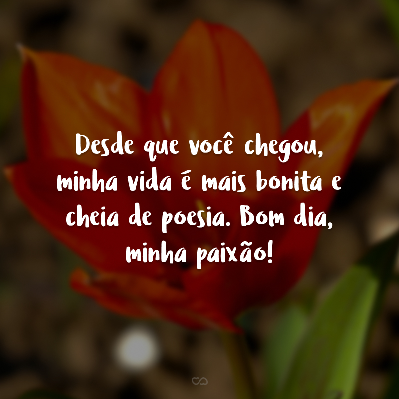 Desde que você chegou, minha vida é mais bonita e cheia de poesia. Bom dia, minha paixão!