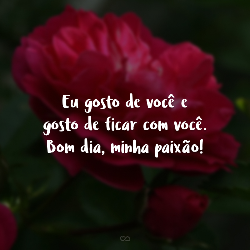 Eu gosto de você e gosto de ficar com você. Bom dia, minha paixão!