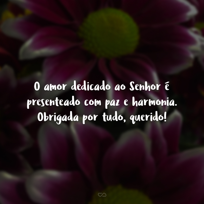 O amor dedicado ao Senhor é presenteado com paz e harmonia. Obrigada por tudo, querido!