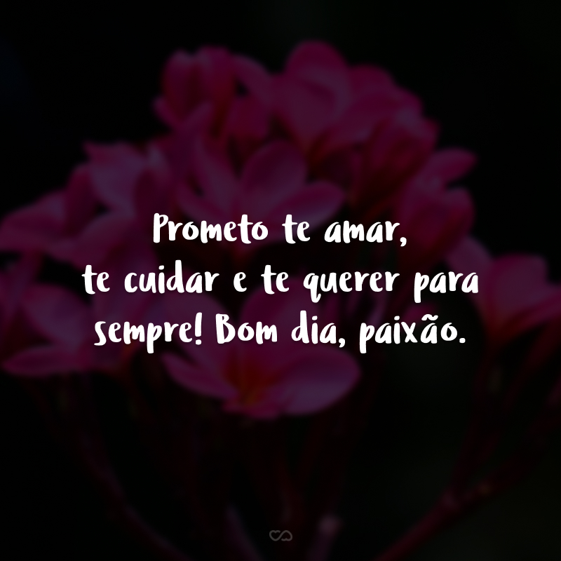 Prometo te amar, te cuidar e te querer sempre! Bom dia, paixão. 