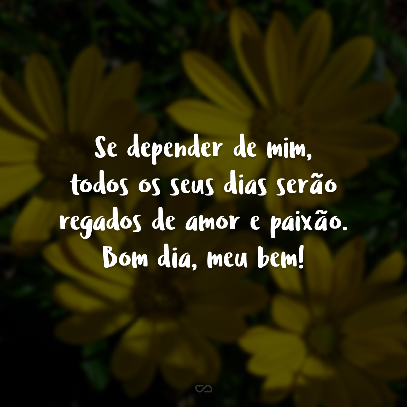 Se depender de mim, todos os seus dias serão regados de amor e paixão. Bom dia, meu bem!