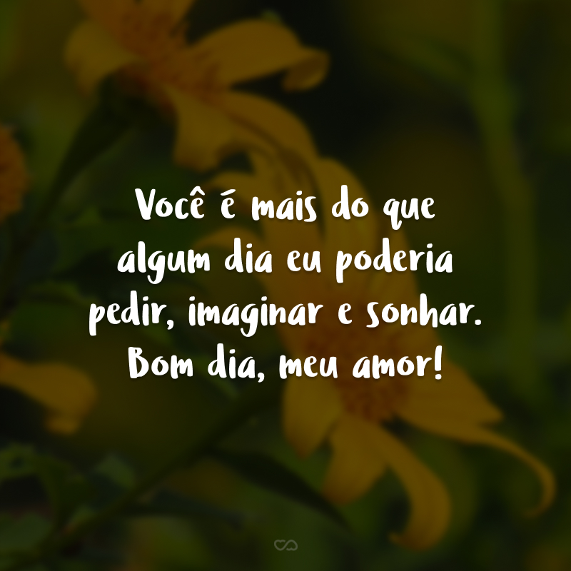 Você é mais do que algum dia eu poderia pedir, imaginar e sonhar. Bom dia, meu amor!