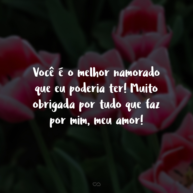 Você é o melhor namorado que eu poderia ter! Muito obrigada por tudo que faz por mim, meu amor!