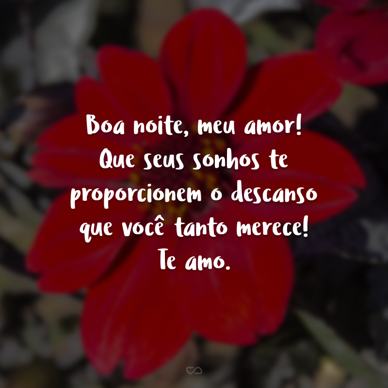 Boa noite, meu amor! Que seus sonhos te proporcionem o descanso que você tanto merece! Te amo.