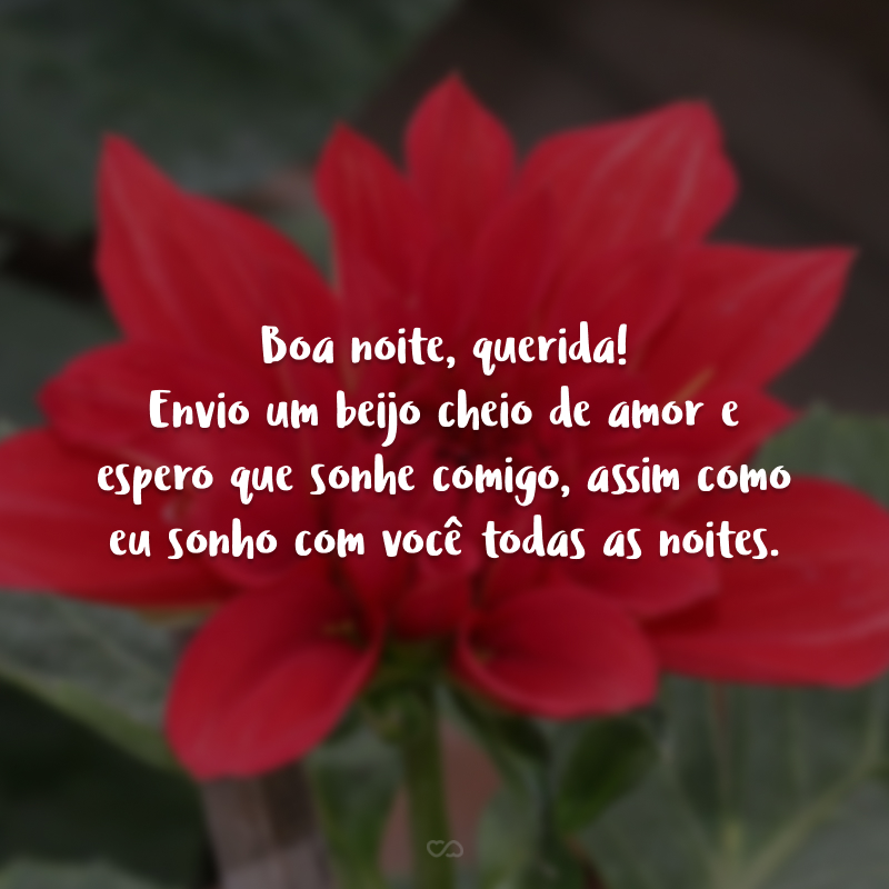 Boa noite, querida! Envio um beijo cheio de amor e espero que sonhe comigo, assim como eu sonho com você todas as noites. 